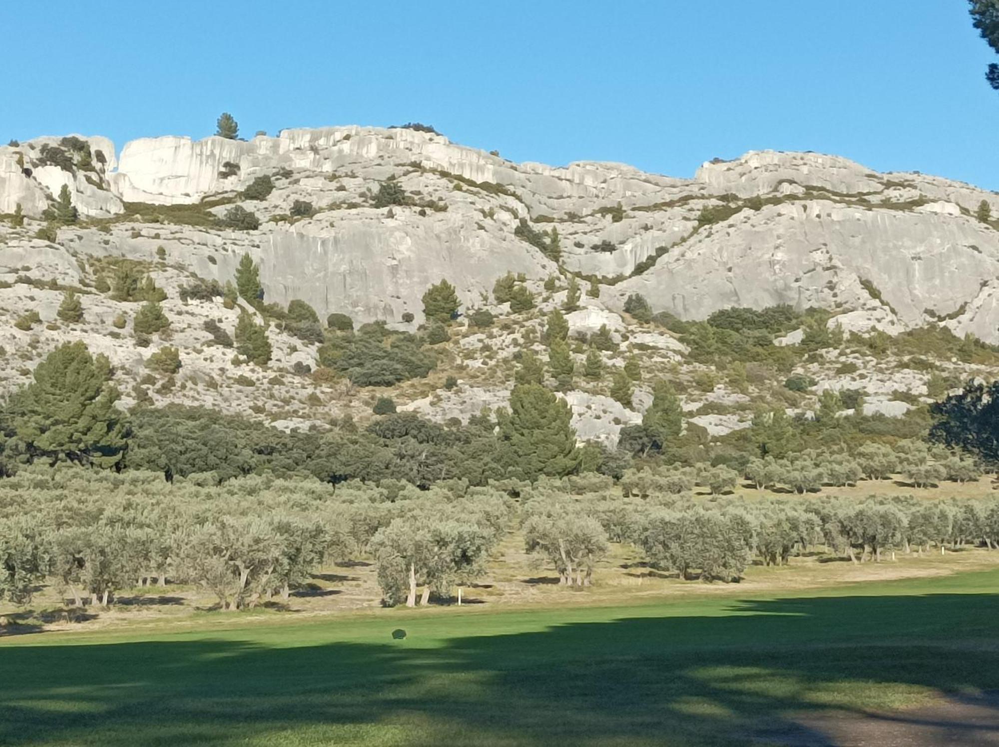 Chambre D'Hote Au Coeur Des Alpilles Mouries Exterior foto